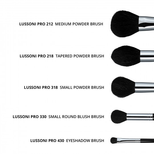 Lussoni Master Kit Professional Makeup Pinsel Set mit Gürtel 16 Stk.