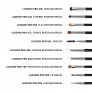 Lussoni Master Kit Set de Pinceaux Professionnel Maquillage avec Ceinture 16 Pcs