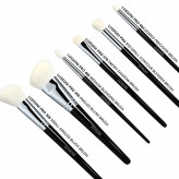 LUSSONI Natural Charm 6 Pcs Professional Makeup Brush Set	