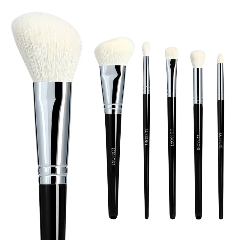 LUSSONI Natural Charm 6 Pcs Professional Makeup Brush Set	