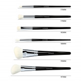 LUSSONI Natural Charm 6 Pcs Professional Makeup Brush Set	