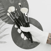 LUSSONI Natural Charm 6 Pcs Professional Makeup Brush Set	