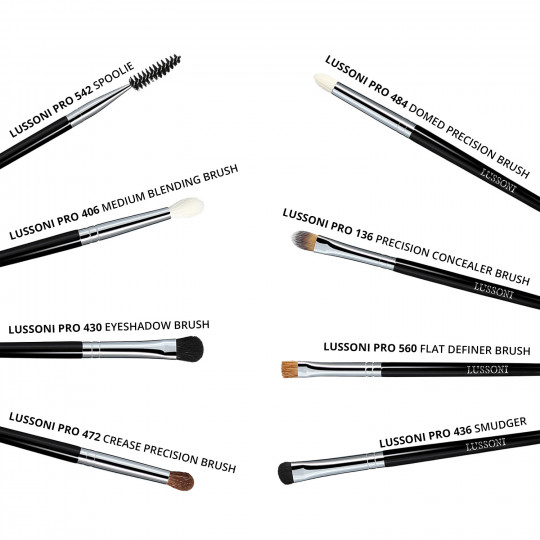 LUSSONI Smokey Eye 8 Pcs Professional Makeup Brush Set	