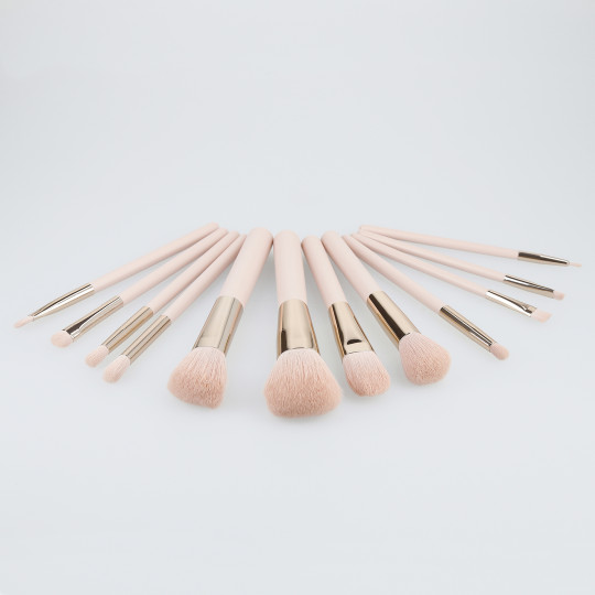 Set von 12 Make-up-Pinseln