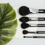 LUSSONI Makeup Essentials 5 Stück Professionelles Pinsel Set