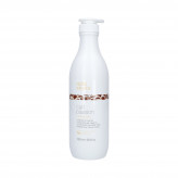 MS CURL PASSION CONDITIONER 1L