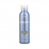 EQUIPAMENTO ALFAPARF Líquido de limpeza 125 ml