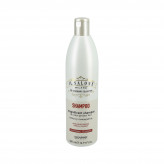 ALFAPARF IL SALONE MAGNIFICENT Shampoo protetor para cabelos coloridos 500ml
