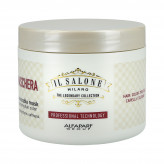 Alfaparf IL Salone Milano Memorable Mask for dyed hair 500ml 