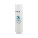 Goldwell Dualseses Scalp Tiefenreinigendes Shampoo 250ml