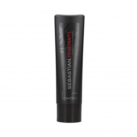 Sebastian Penetraitt Shampoo 250 ml