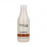STAPIZ Sleek Line Shampoo with silk 300 ml 