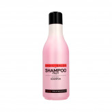 STAPIZ PROFESSIONAL BASIC SALON Fruit Szampon owocowy 1000ml