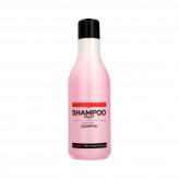 STAPIZ PROFESSIONAL BASIC SALON Shampoo de frutas 1000ml