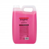 STAPIZ PROFESSIONAL BASIC SALON Fruit Szampon owocowy 5000ml