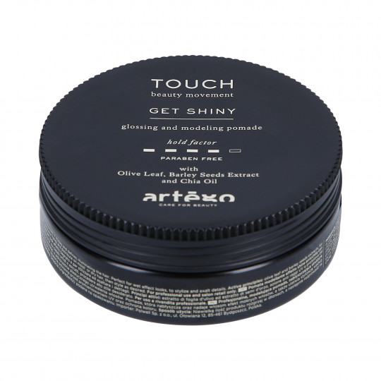 ART TOUCH GET SHINY 100ML