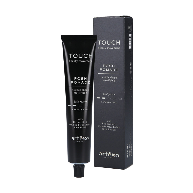 ARTEGO TOUCH POSH Eine leichte Pomade mit mattem Finish 100ml