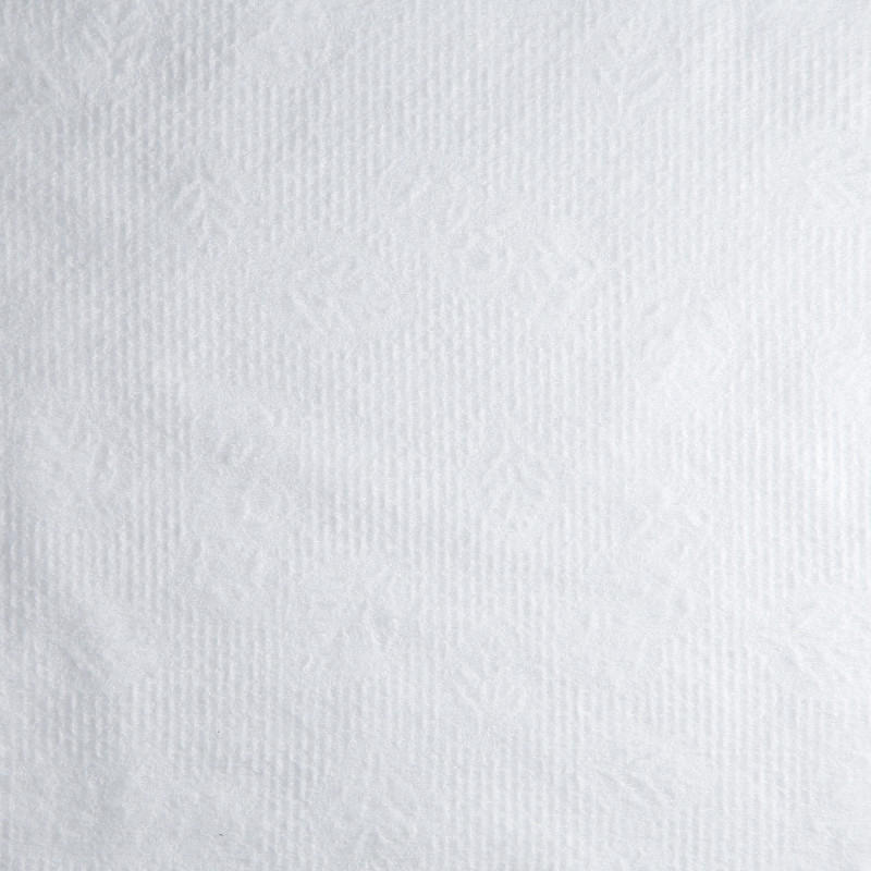 LUSSONI by Tools For Beauty 100 Stück BIO-ÖKO Umweltfreundliche Tücher, 70cm x 50cm