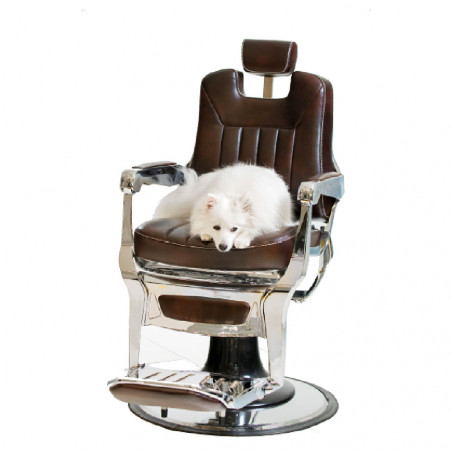 SAKAI MAYFAIR Fotel barberski, dark brown SAKAI MAYFAIR Fotel barberski, dark brown