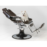 SAKAI MAYFAIR barber chair dark brown