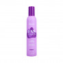 FANOLA FAN TOUCH HIGH CONTROL Very strong styling mousse 300ml