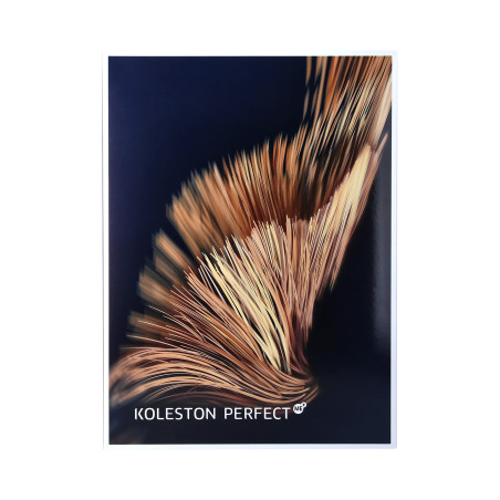 WELLA PROFESSIONALS KOLESTON Paleta farb
